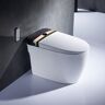Homary Elongated One-Piece Smart Toilet Floor Mounted Automatic Toilet in Black & Gold Rim