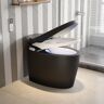 Homary Modern Black Smart Toilet One-Piece 1.28 GPF Elongated Automatic Toilet & Bidet Seat