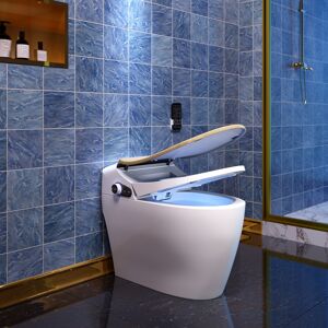 Homary Modern Smart Toilet One-Piece 1.28 GPF Floor Mounted Elongated Toilet and Bidet Seat