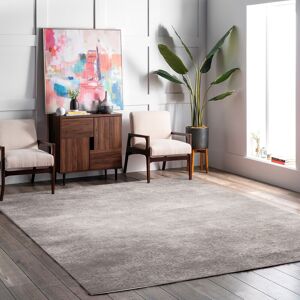 Homary 5' × 8' Minimalist Gray Rectangle Area Rug Homary 5' × 8' Minimalist Gray Rectangle Area Rug