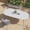 Homary 6 - Person Oval Faux Marble Top & Aluminum Outdoor Patio Dinning Table in White & Gray