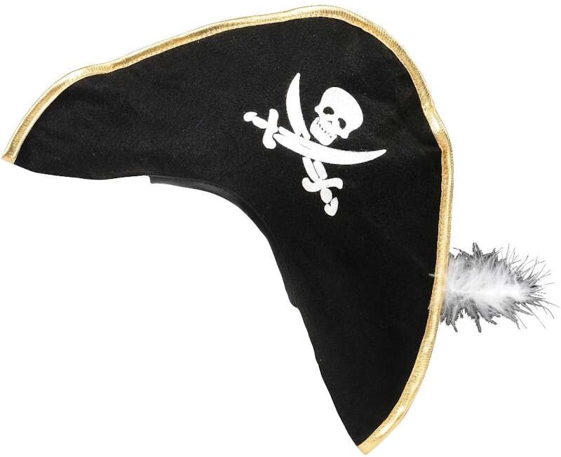 Skull and Crossed Swords Pirate Hat with Feather