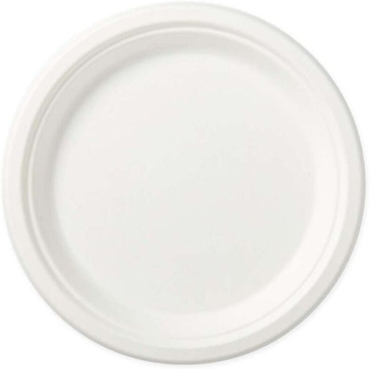 Paper Plates - Eco-Friendly  125 Pack