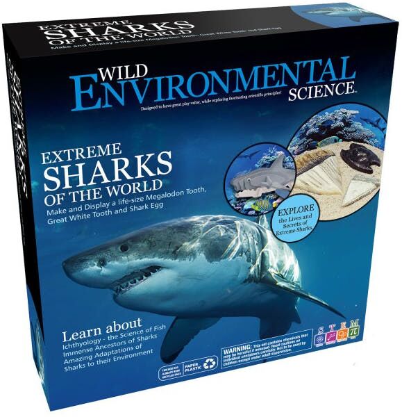 Extreme Sharks of the World Lab Kits - Paint Supplies Included