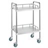 VEVOR Lab Rolling Cart, 2-Shelf Stainless Steel Rolling Cart, Lab Serving Cart with Swivel Casters, Dental Utility Cart for Clinic, Lab,  Hospital, Salon, 15.16"x21.57"x34.06"