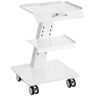 VEVOR Lab Trolley, 3-Layer Rolling Lab Cart, Metal Mobile Trolley with Swivel Wheels, Tray Rolling Clinic Cart 220 lbs Weight Capacity, for Lab, Clinic, Beauty and Salon