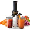 VEVOR Masticating Juicer, Cold Press Juicer Machine, 1.3" Feed Chute Slow Juicer, Juice Extractor Maker with High Juice Yield, Easy to Clean with Brush, for High Nutrient Fruits Vegetables