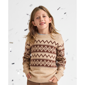 The Children's Place Boys Fairisle Sweater   Size XL (14)   Brown   Cotton
