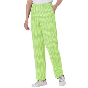 Appleseeds Women's Seersucker Stripe Elastic-Waist Pants - Green - 8P - Petite