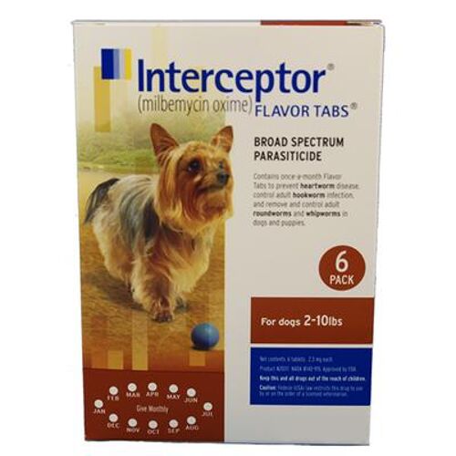 Interceptor For Very Small Dogs ...