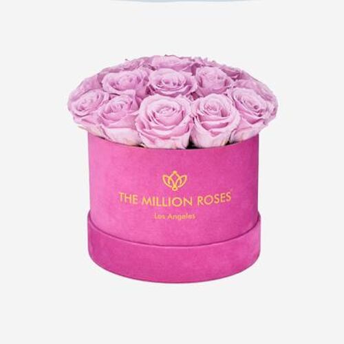 The Million Roses Light Pink Ros...