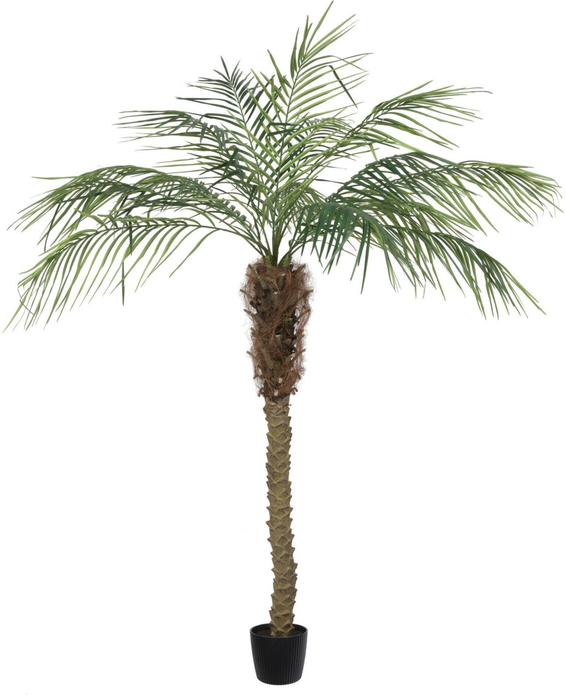 Vickerman 6' Artificial Potted Pheonix Palm Tree