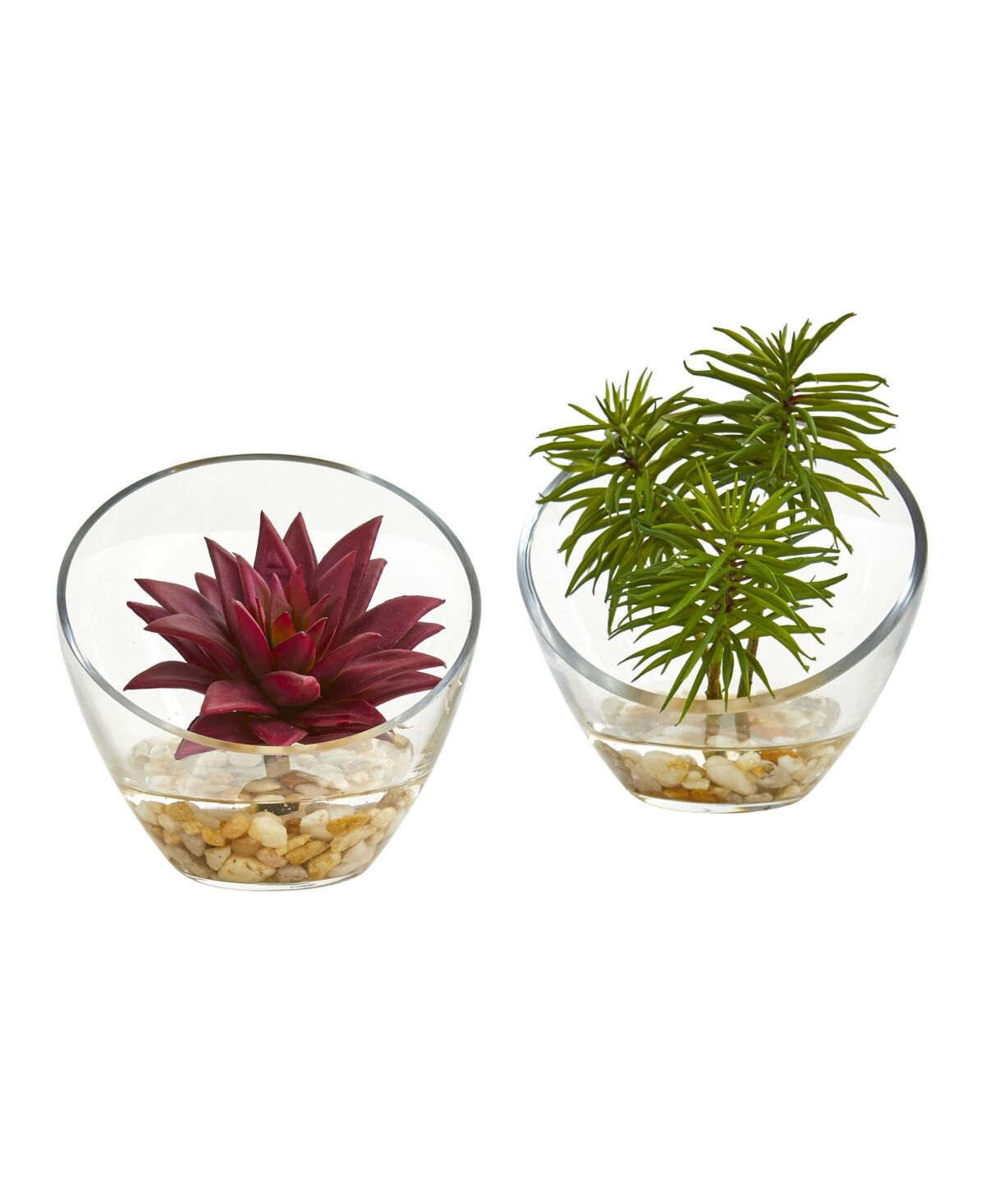Nearly Natural Succulent Artificial Plant in Slanted Glass Vase (Set of 2) - Burgundy/Green