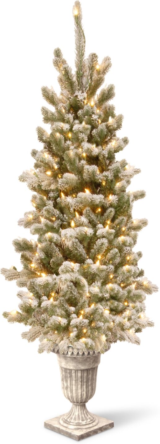 National Tree Company 4' Snowy Sheffield Spruce Entrance Tree with Twinkly Led Lights - Green