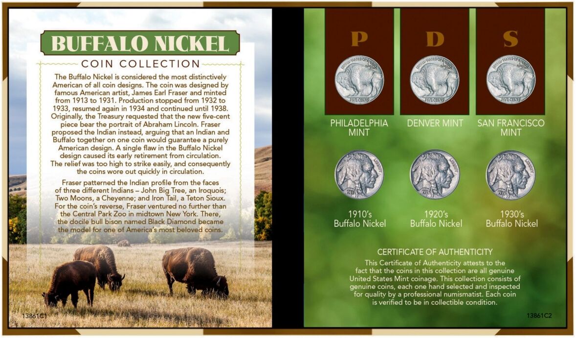 American Coin Treasures Buffalo Nickel Coin Set - Multi