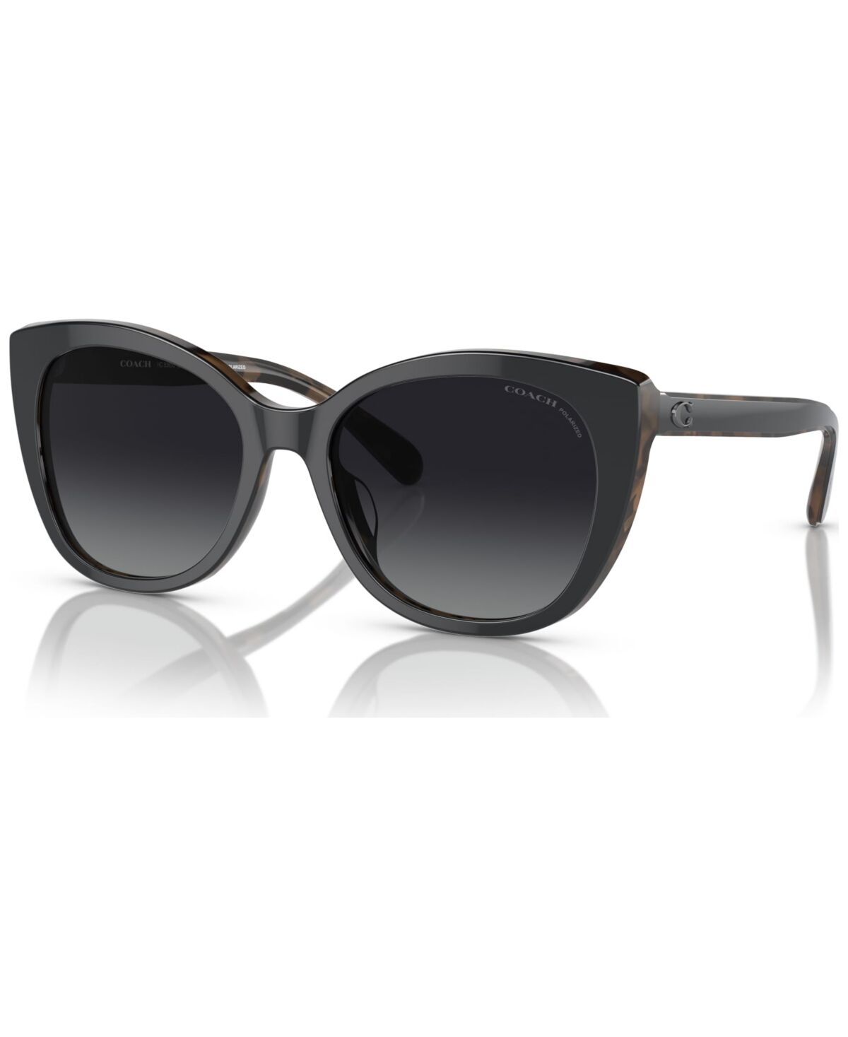 Coach Women's Polarized Sunglasses, HC8365U - Black, Dark Tortoise