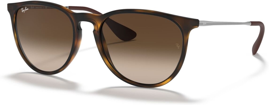 Ray-Ban Sunglasses, RB4171 Erika - Brown/Brown