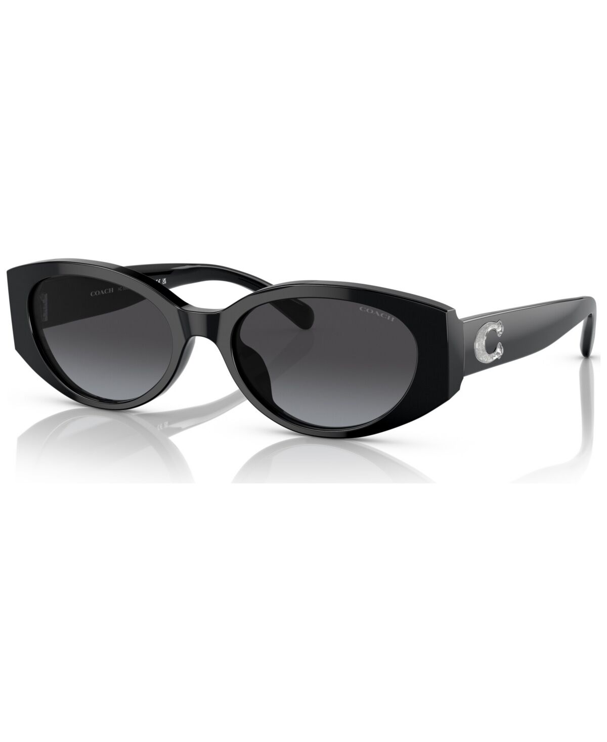 Coach Women's Sunglasses, HC8353U - Black