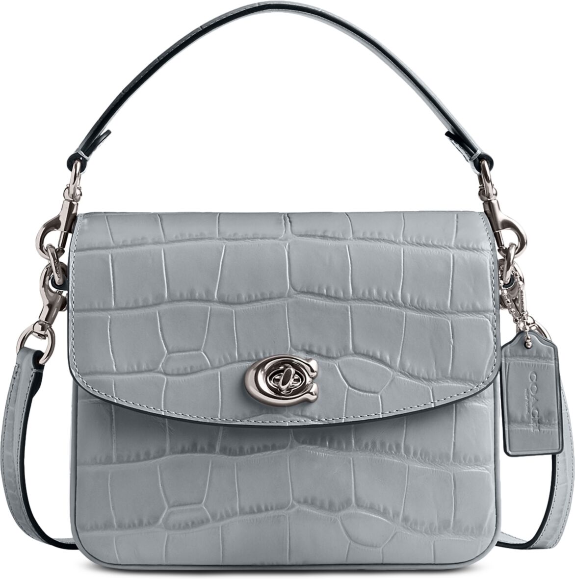 Coach Embossed Croc Leather Cassie Crossbody 19 - Lh/grey Bl