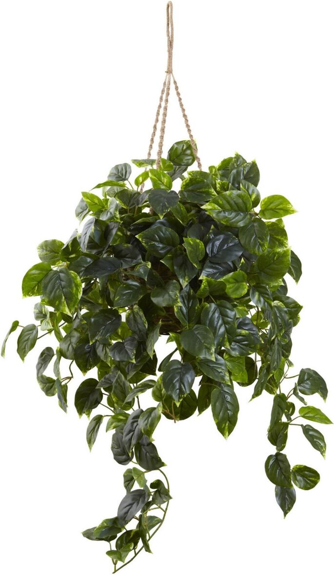 Nearly Natural Pothos Uv-Resistant Indoor/Outdoor Artificial Plant Hanging Basket - Green