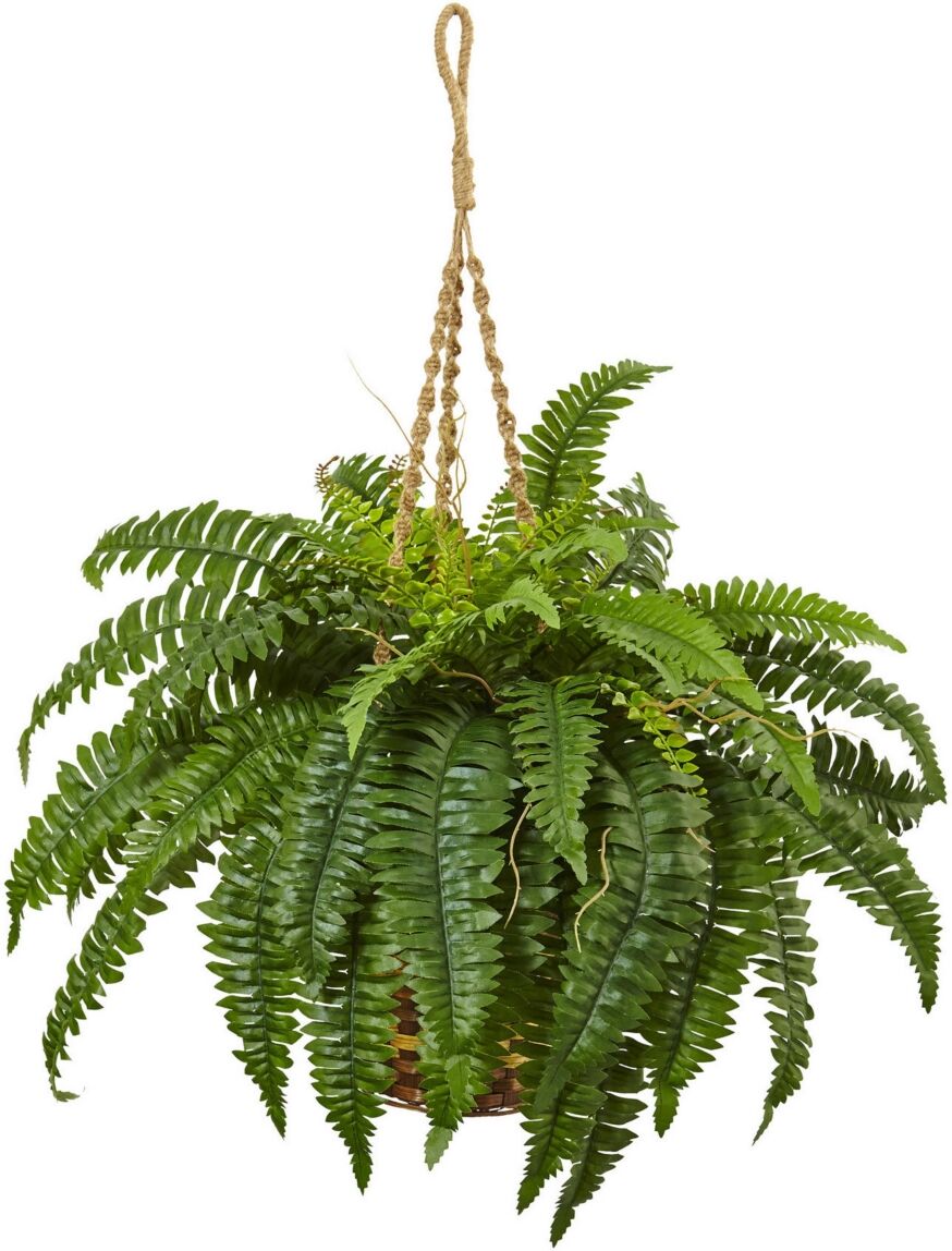 Nearly Natural Boston Fern Artificial Plant Hanging Basket - Green