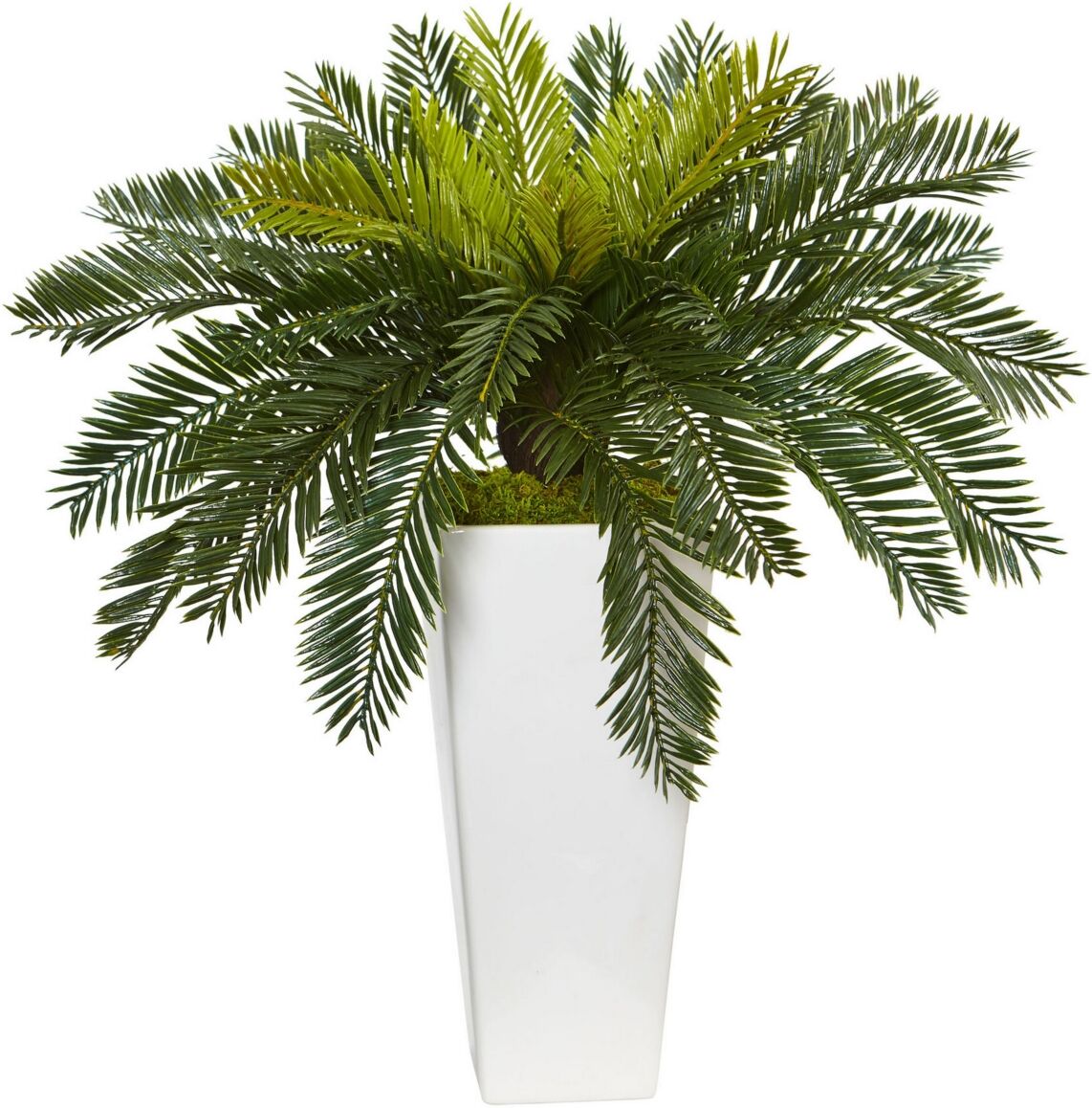 Nearly Natural Cycas Artificial Plant in White Planter - Green