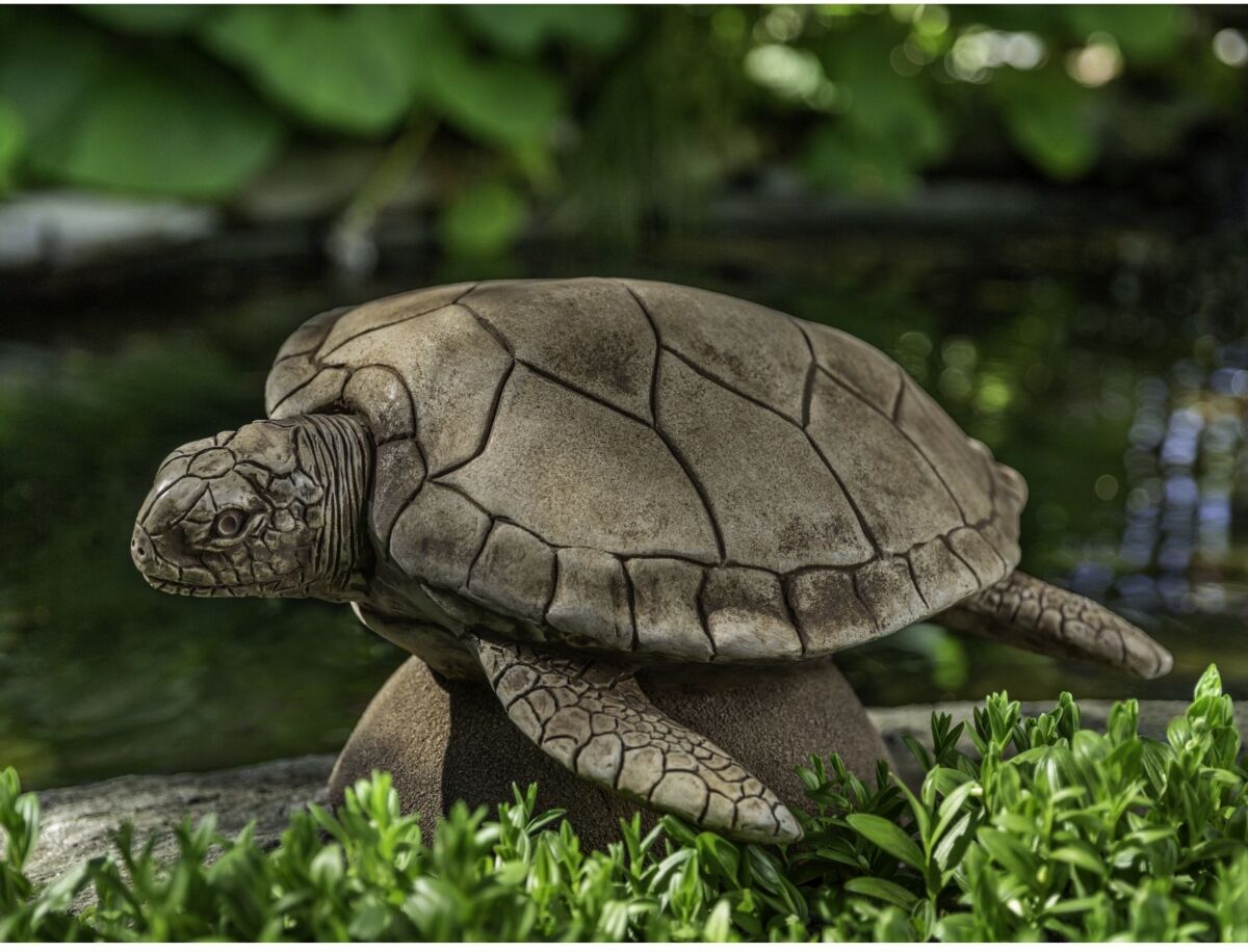 Campania International Large Sea Turtle Statuary - Brown