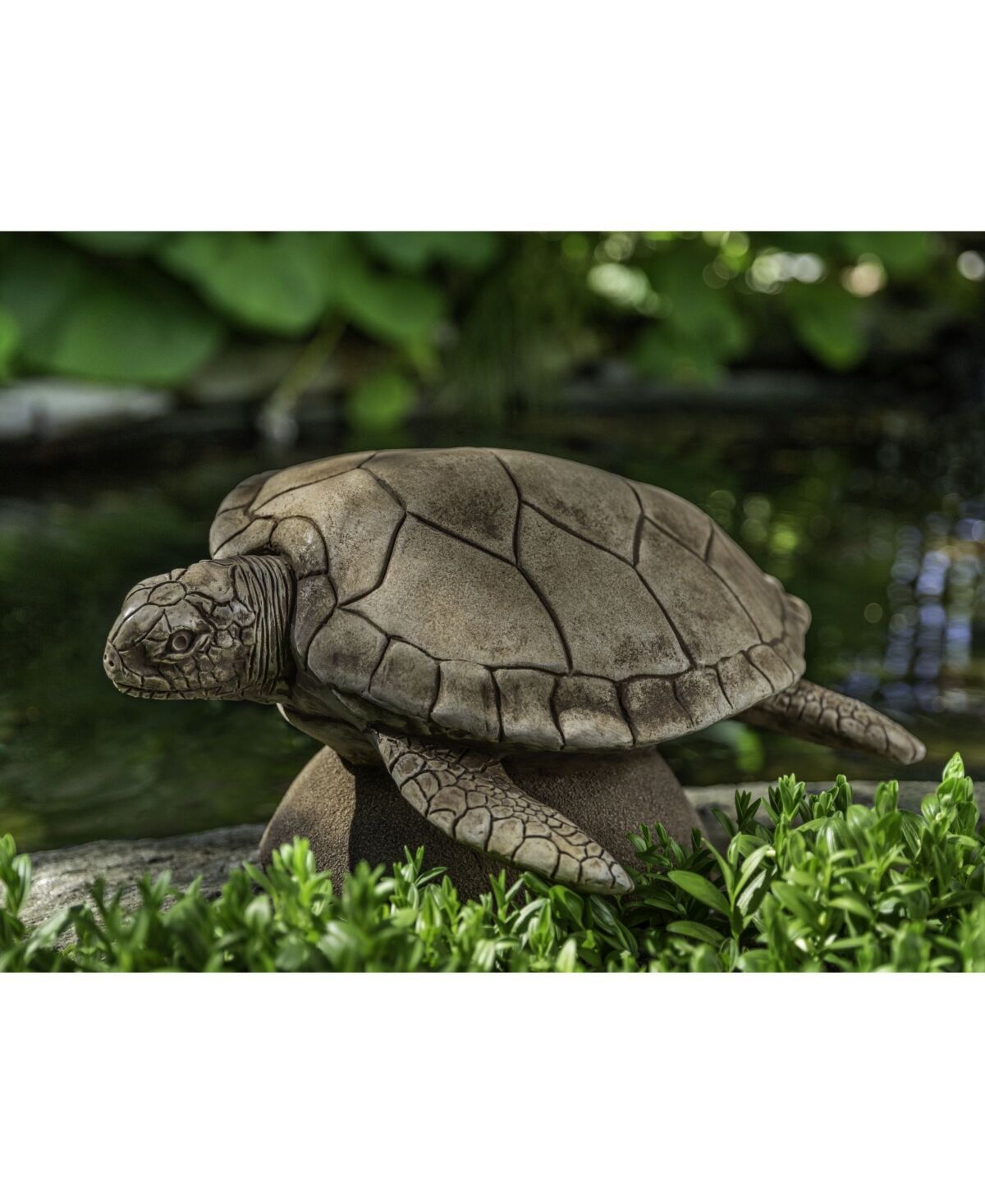 Campania International Large Sea Turtle Statuary - Dark Gray
