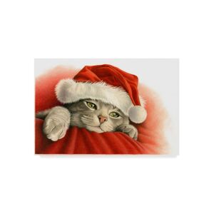 Trademark Global Francien Van Westering 'Gray Cat With Santa Hat' Canvas Art - 47