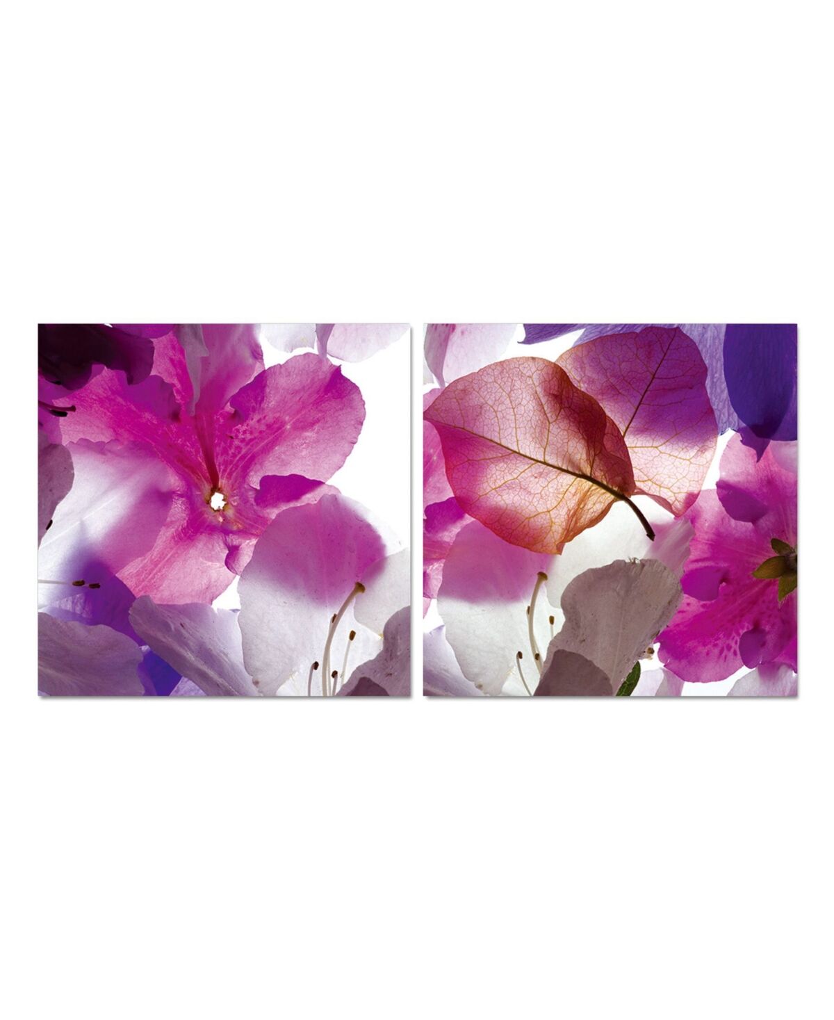 Chic Home Decor Orchid 2 Piece Wrapped Canvas Wall Art Floral Design -27