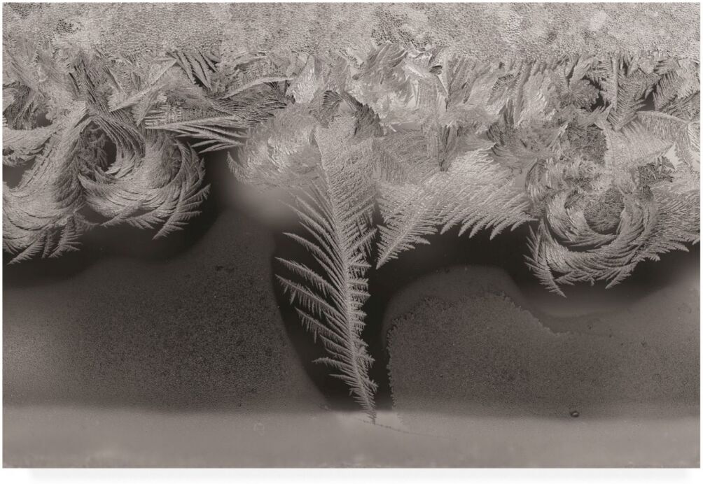 Trademark Global Kurt Shaffer Photographs Natures art, ice crystals on my window Canvas Art - 36.5