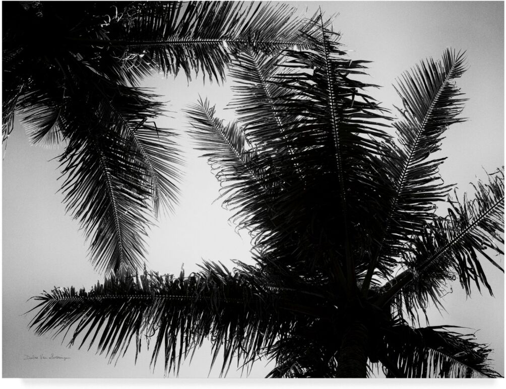 Trademark Global Debra Van Swearingen Palm Tree Looking Up I Canvas Art - 20