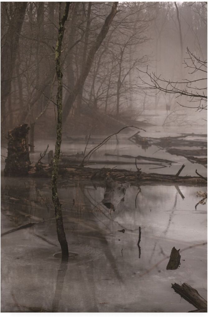 Trademark Global Kurt Shaffer Photographs Foggy frozen marsh Canvas Art - 36.5