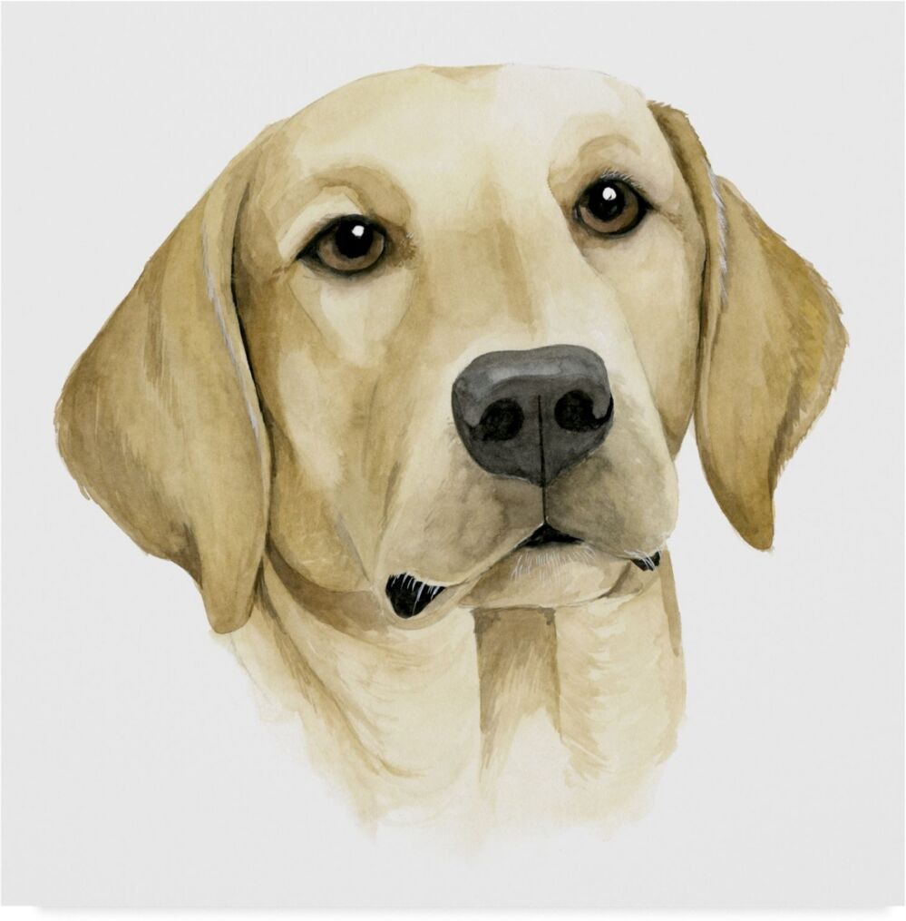 Trademark Global Grace Popp Humans Best Friend I Canvas Art - 27