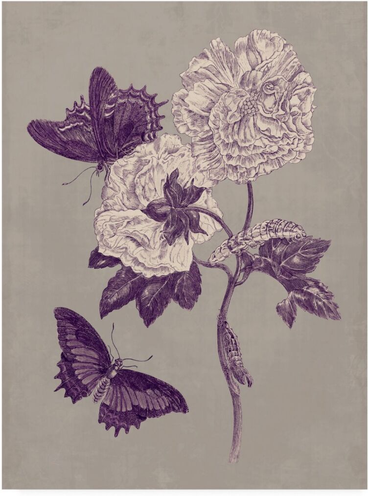 Trademark Global Maria S. Merian Nature Study in Plum & Taupe Iv Canvas Art - 20