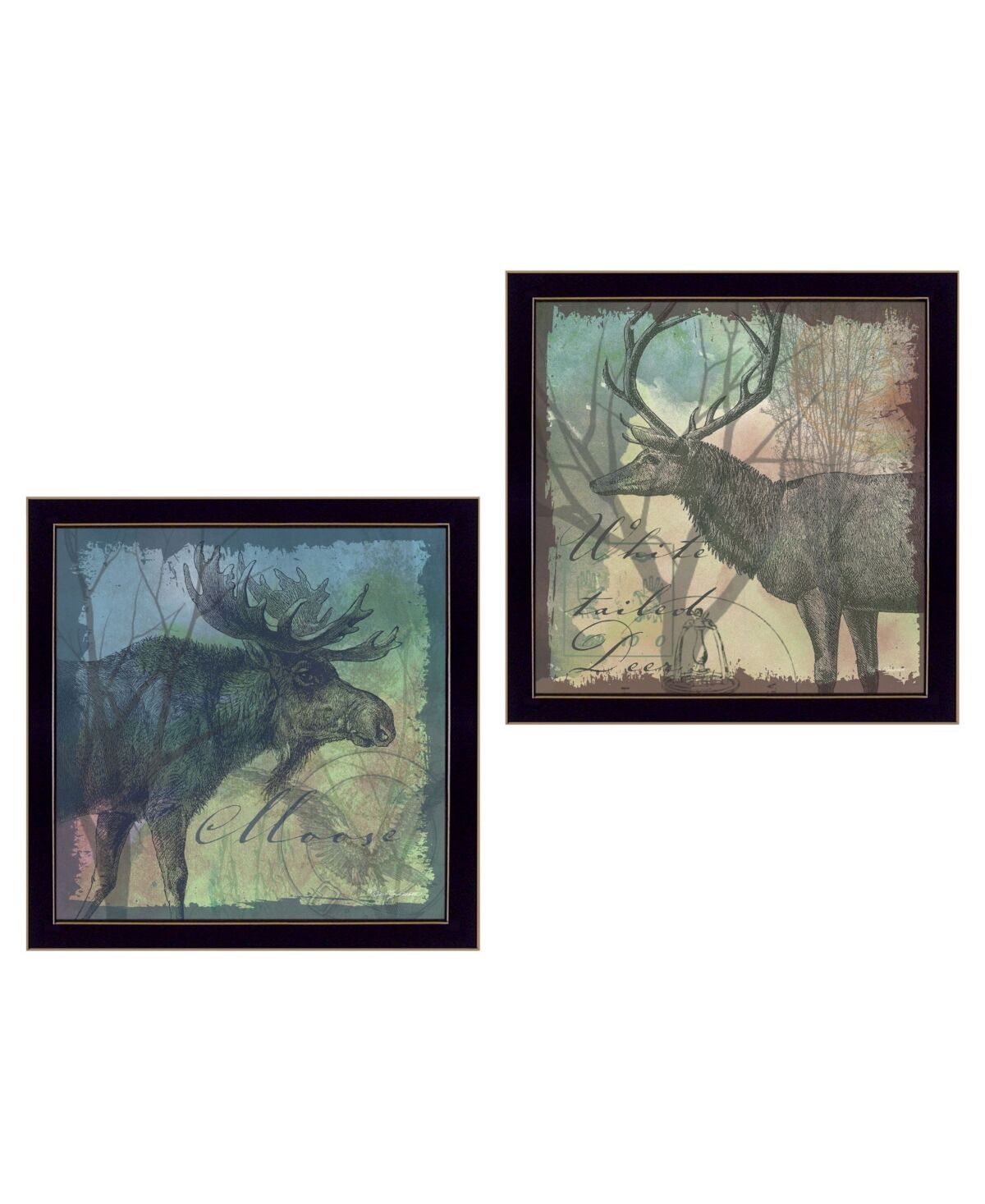 Trendy Decor 4U Wildlife Collection Collection By Barb Tourtillotte, Printed Wall Art, Ready to hang, Black Frame, 28