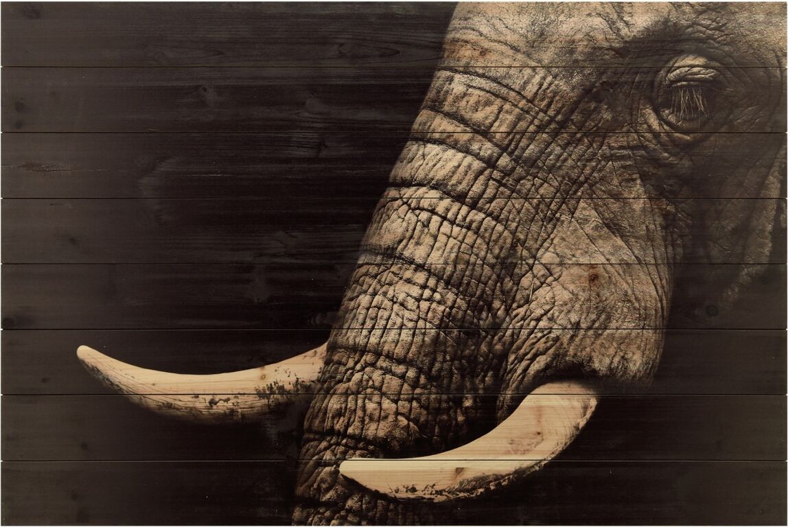 Empire Art Direct Elephant Arte de Legno Digital Print on Solid Wood Wall Art, 30