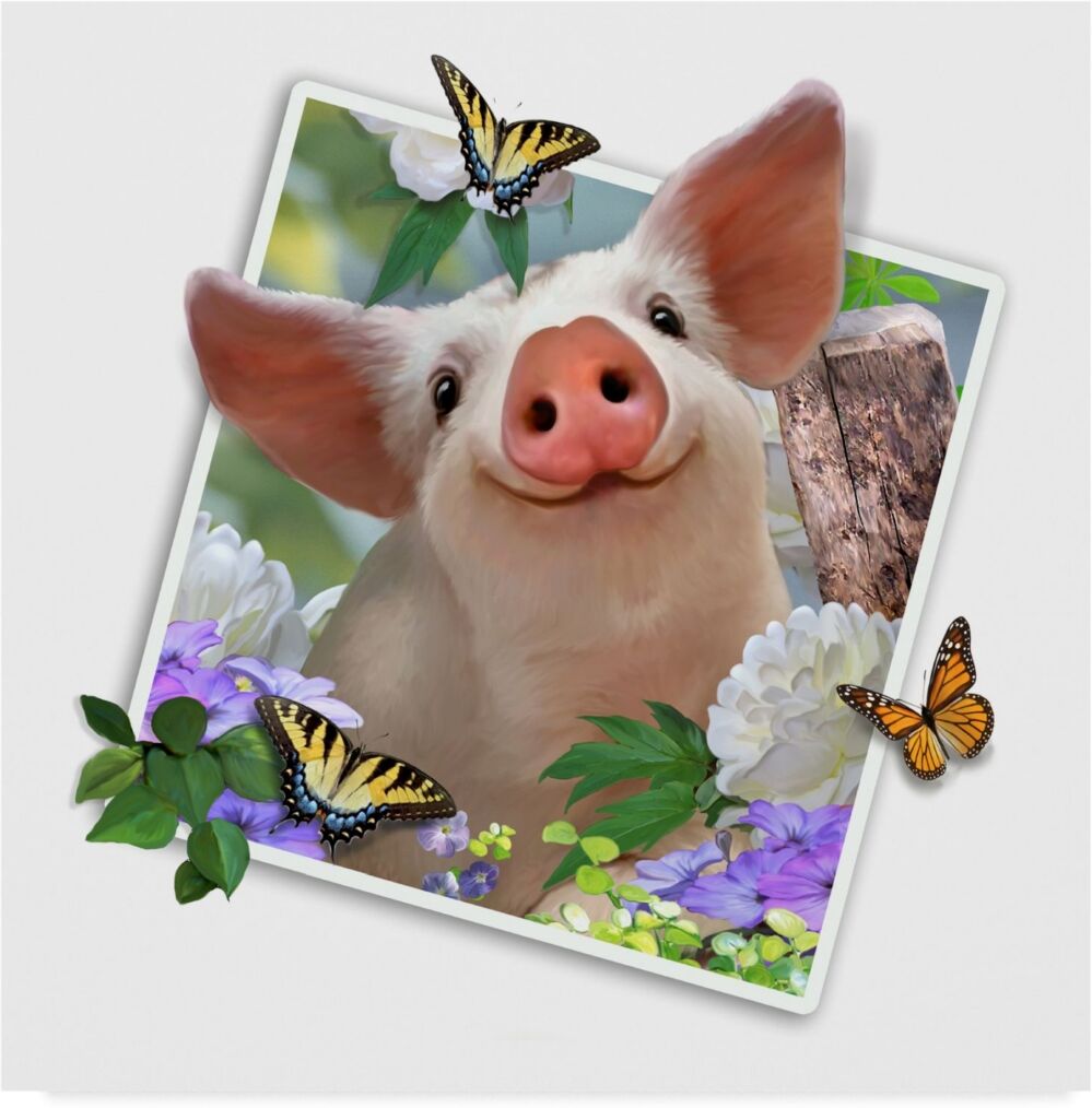 Trademark Global Howard Robinson 'Baby Pig Photograph' Canvas Art - 18