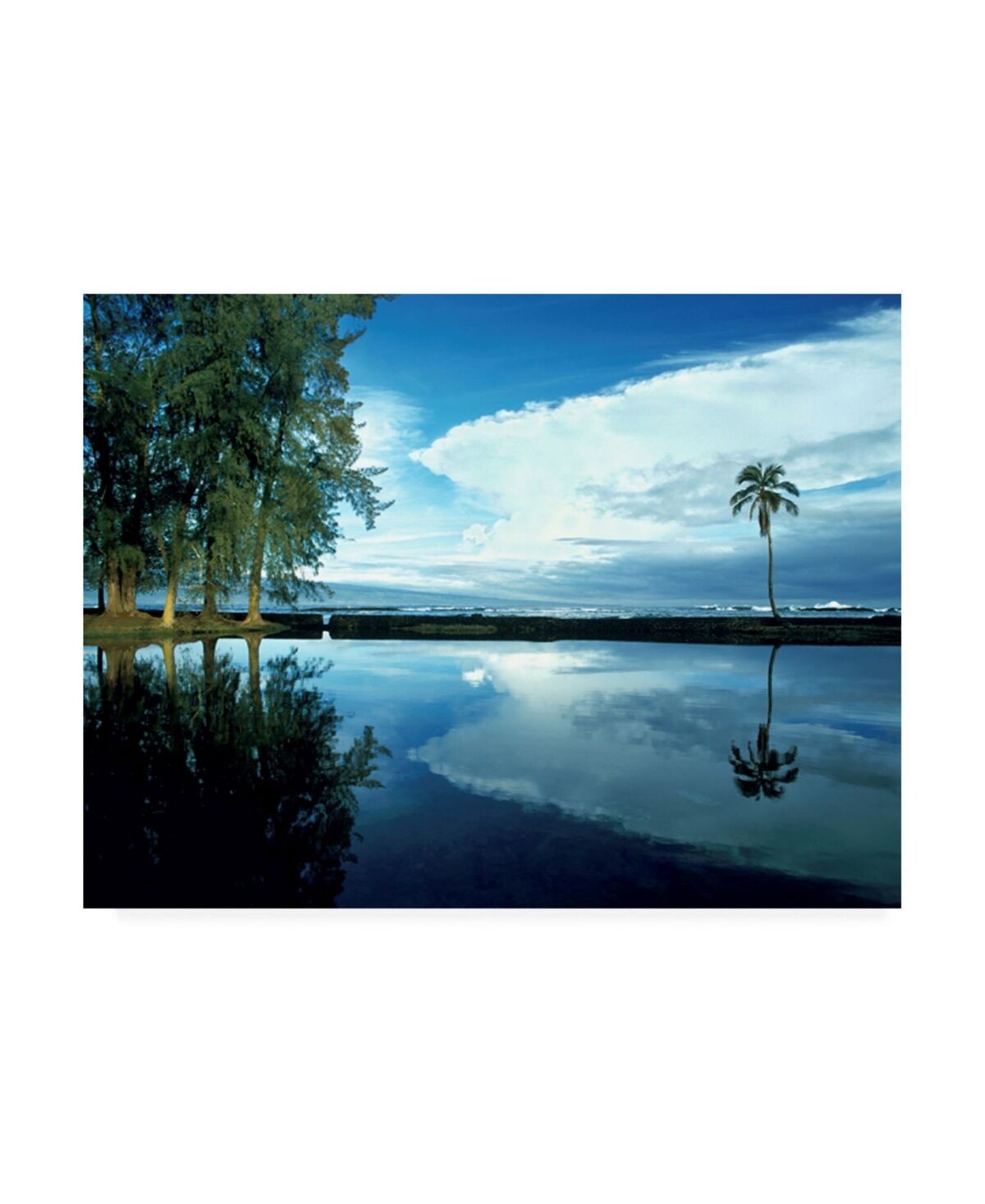 Trademark Global Monte Nagler Palm Tree Alone Big Island Hawaii Canvas Art - 37