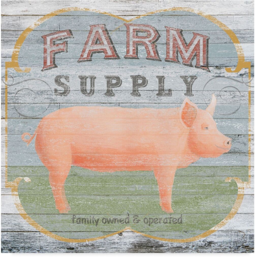 Trademark Global June Erica Vess Farm Supply Ii Canvas Art - 20