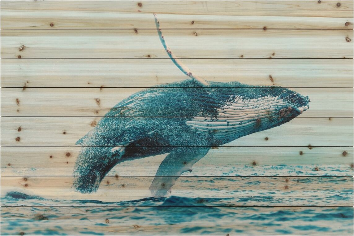 Empire Art Direct Whale Arte de Legno Digital Print on Solid Wood Wall Art, 30