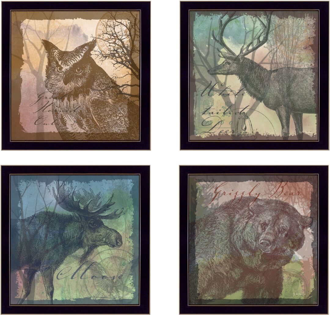 Trendy Decor 4U Wildlife Collection Collection By Barb Tourtillotte, Printed Wall Art, Ready to hang, Black Frame, 56