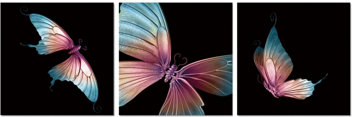 Chic Home Decor Butterfly 3 Piece Set Wrapped Canvas Wall Art Painting -16