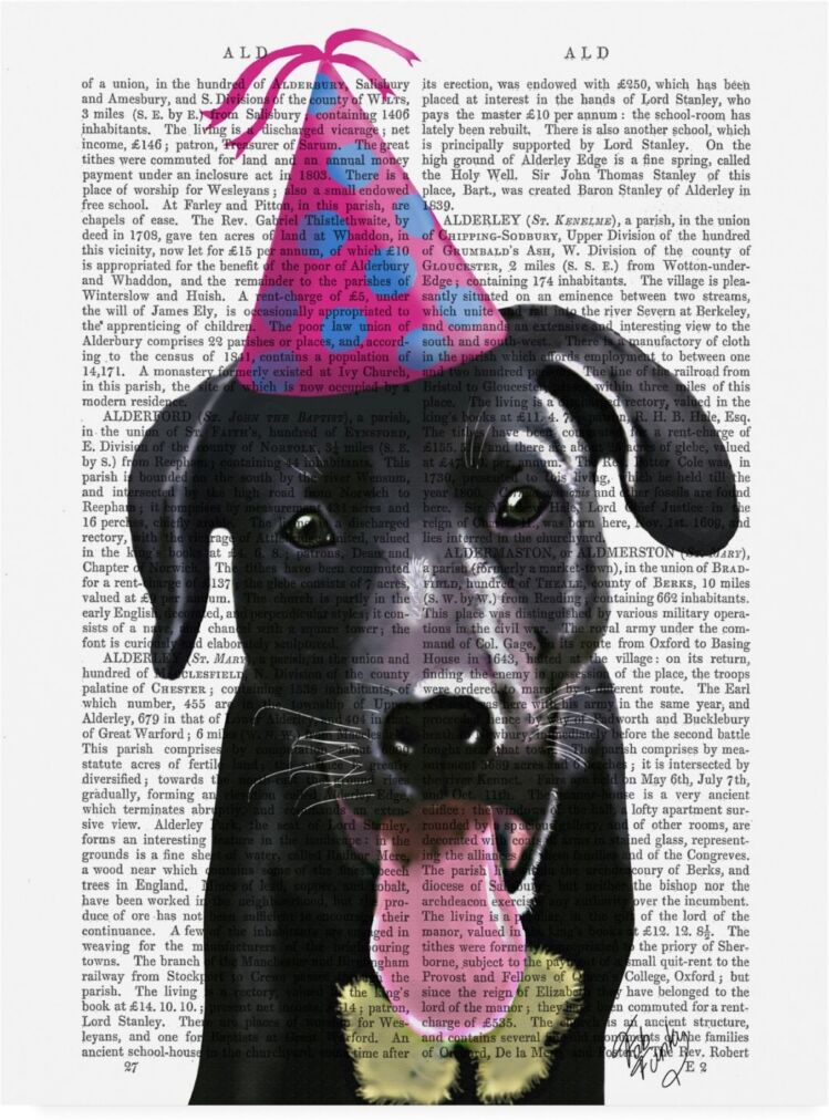 Trademark Global Fab Funky Black Labrador with Party Hat Canvas Art - 36.5