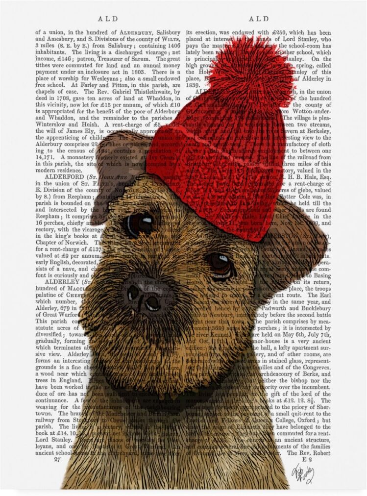 Trademark Global Fab Funky Border Terrier with Red Bobble Hat Canvas Art - 36.5