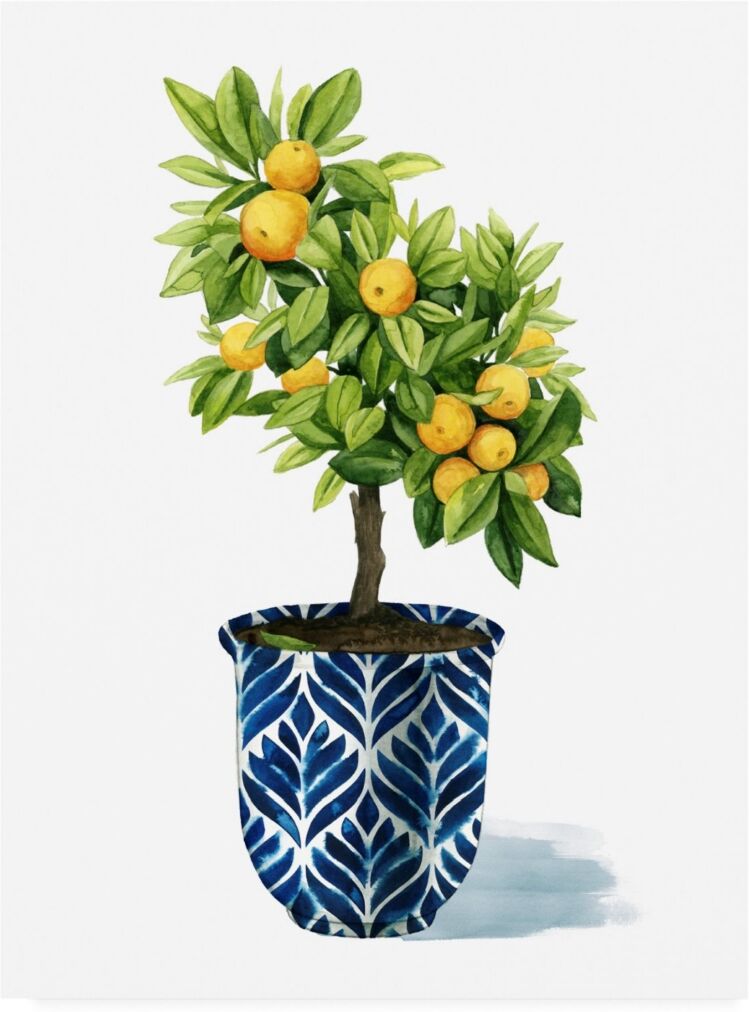 Trademark Global Grace Popp Fruit Tree I Canvas Art - 36.5