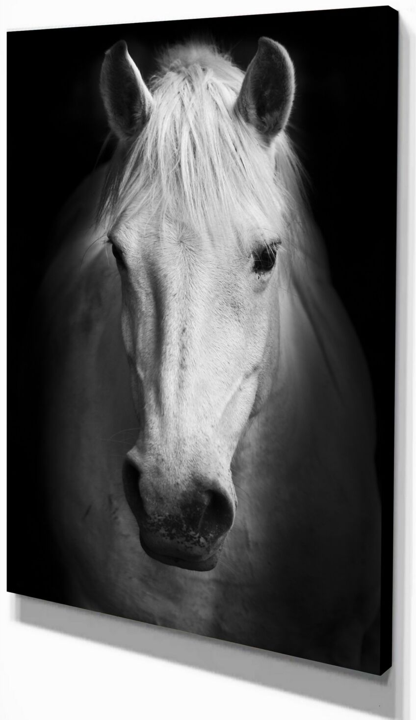 Design Art Designart White Horse Black And White Animal Canvas Art Print - 12