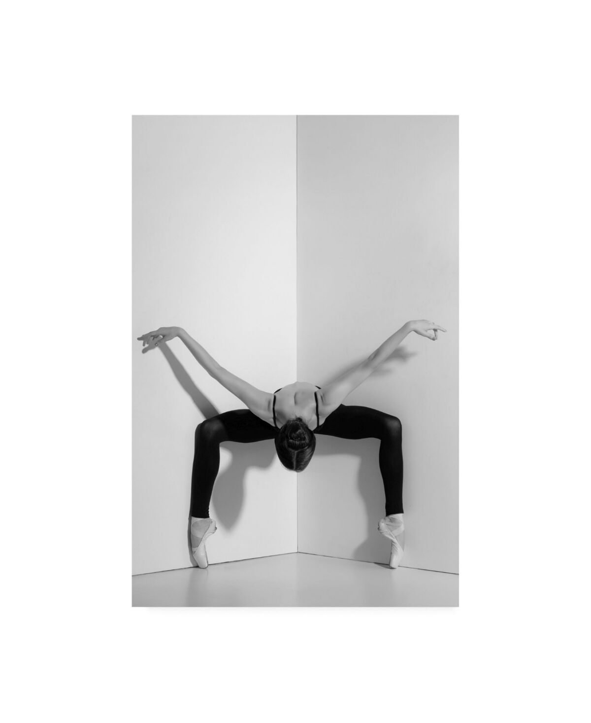 Trademark Global PhotoINC Studio Dance Pose Canvas Art - 36.5
