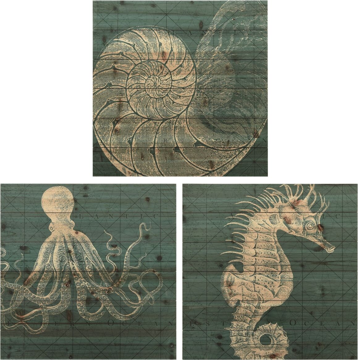 Empire Art Direct Coastal Menagerie A, B C Arte de Legno Digital Print on Solid Wood Wall Art, 24