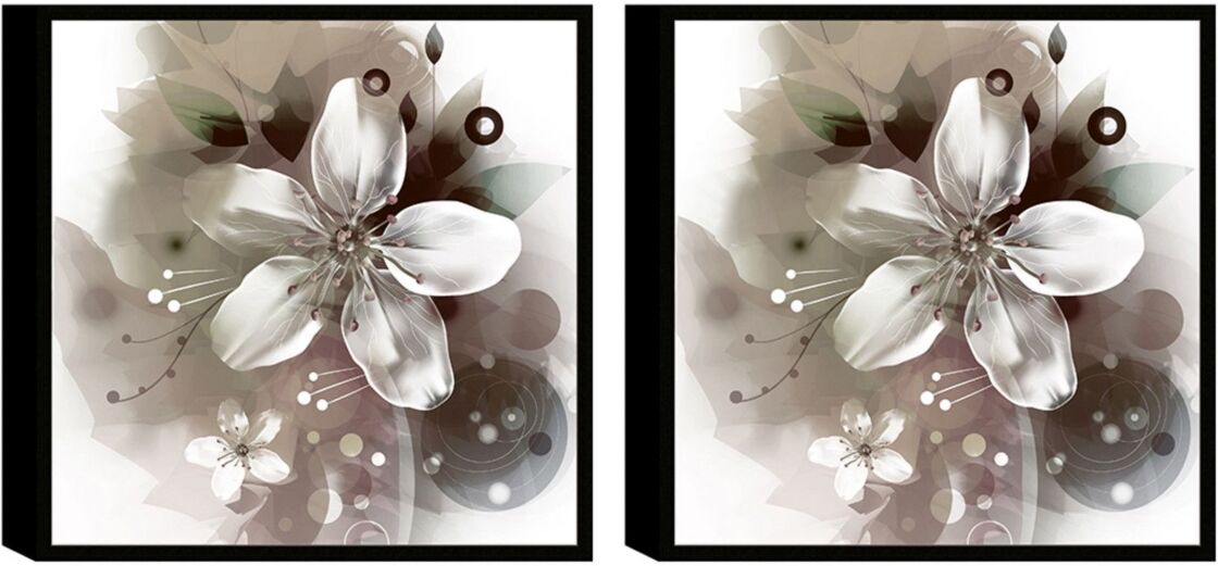 Chic Home Decor Magnolia 2 Piece Framed Canvas Wall Art Floral Design -23